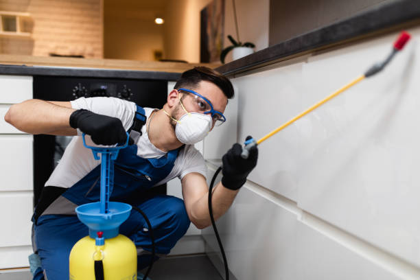 Best Cockroach Control Services  in Sheridan, CA